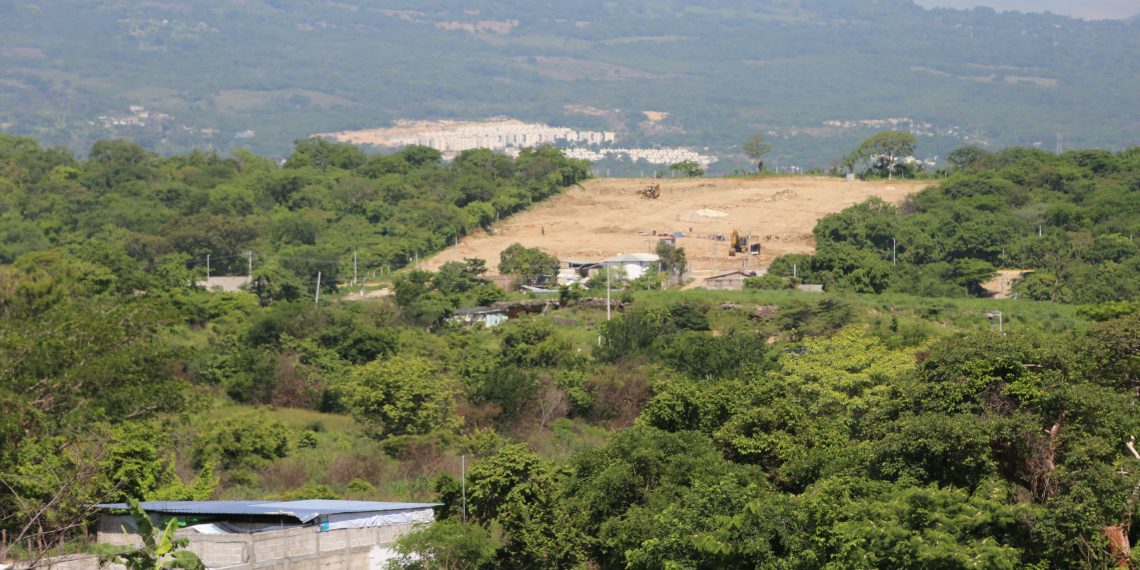 Deforestación arrasa con bosques del Soconusco