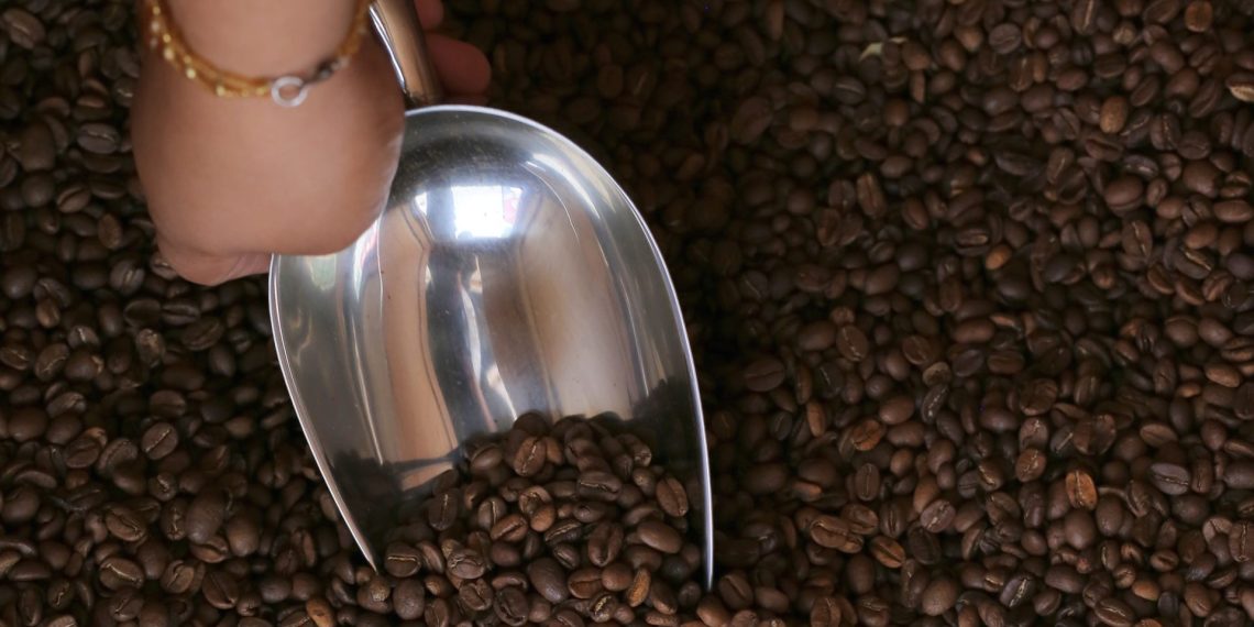Producción de café: Desafíos climáticos y comercialización