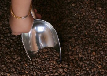 Producción de café: Desafíos climáticos y comercialización