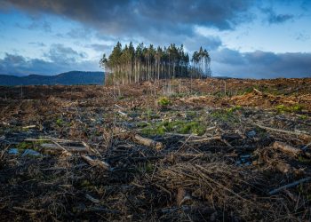 México busca reducir 35% de emisiones por crisis climática