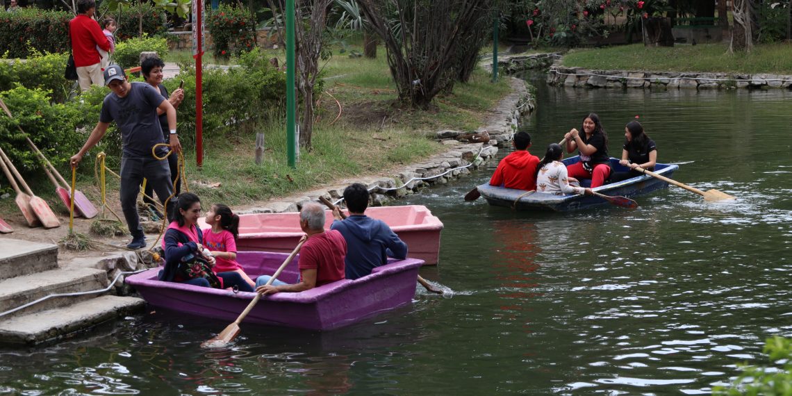 Proponen penalizar deterioro ambiental en zonas urbanas