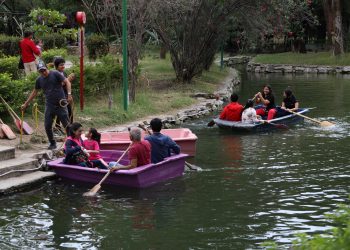 Proponen penalizar deterioro ambiental en zonas urbanas
