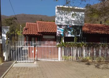 Solicitan destitución de funcionario en Profepa