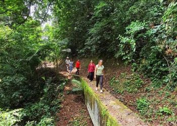 Ruta del Café, otra vez en pausa por conflicto