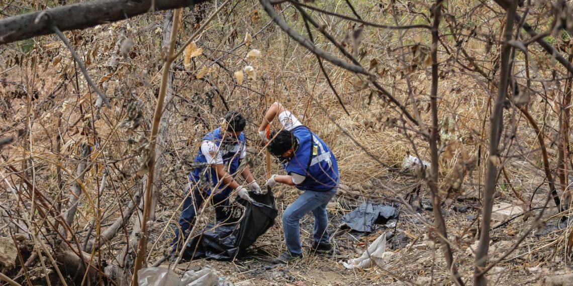 Denuncian arrojo de animales muertos y vísceras en Arriaga