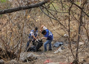 Denuncian arrojo de animales muertos y vísceras en Arriaga