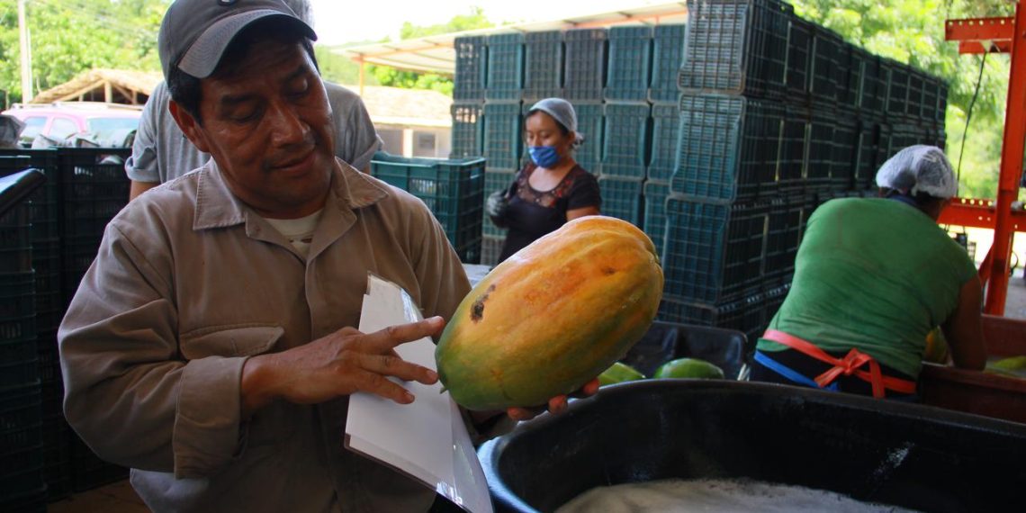 Falta de agroindustria limita el crecimiento económico