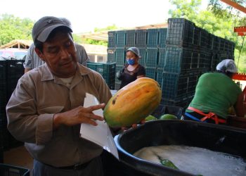 Falta de agroindustria limita el crecimiento económico