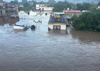 DE FRENTE Y DE PERFIL