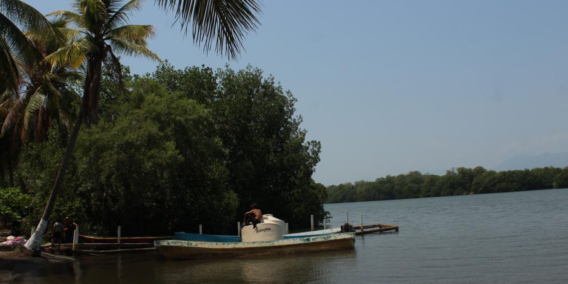 La Isla de los Pájaros, al borde del colapso