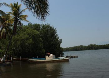 La Isla de los Pájaros, al borde del colapso