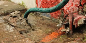 Tapachula pierde 40% de agua por fugas históricas