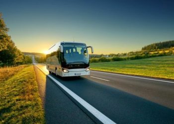 Crescencio Martínez, un anticuario en el camino