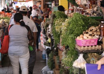 Recomiendan uso responsable de medicina herbolaria 