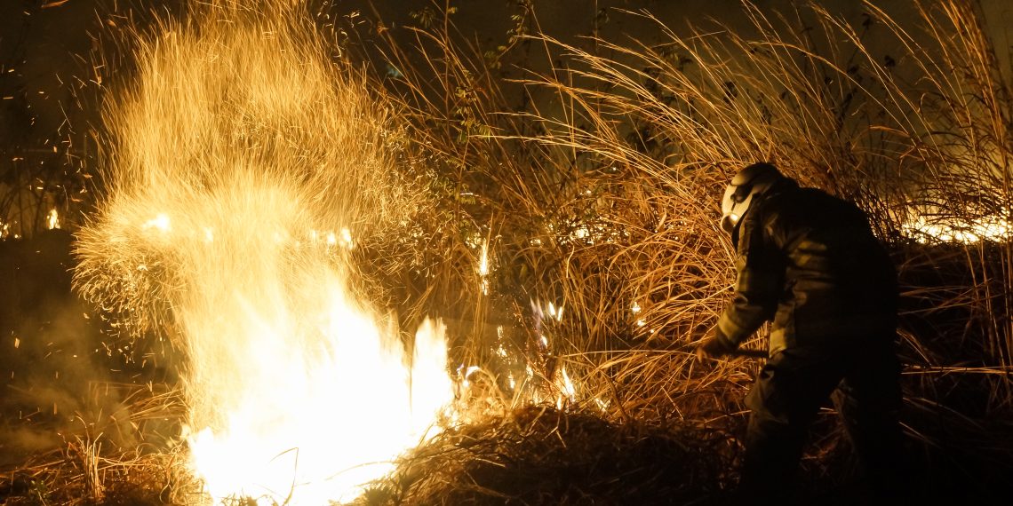 Más de 498 mil hectáreas, consumidas por siniestros