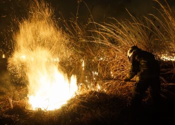 Más de 498 mil hectáreas, consumidas por siniestros