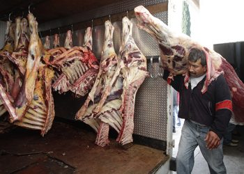 Insalubridad persiste en el rastro de Comaltitlán