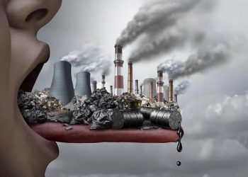 ALGO MÁS QUE PALABRAS