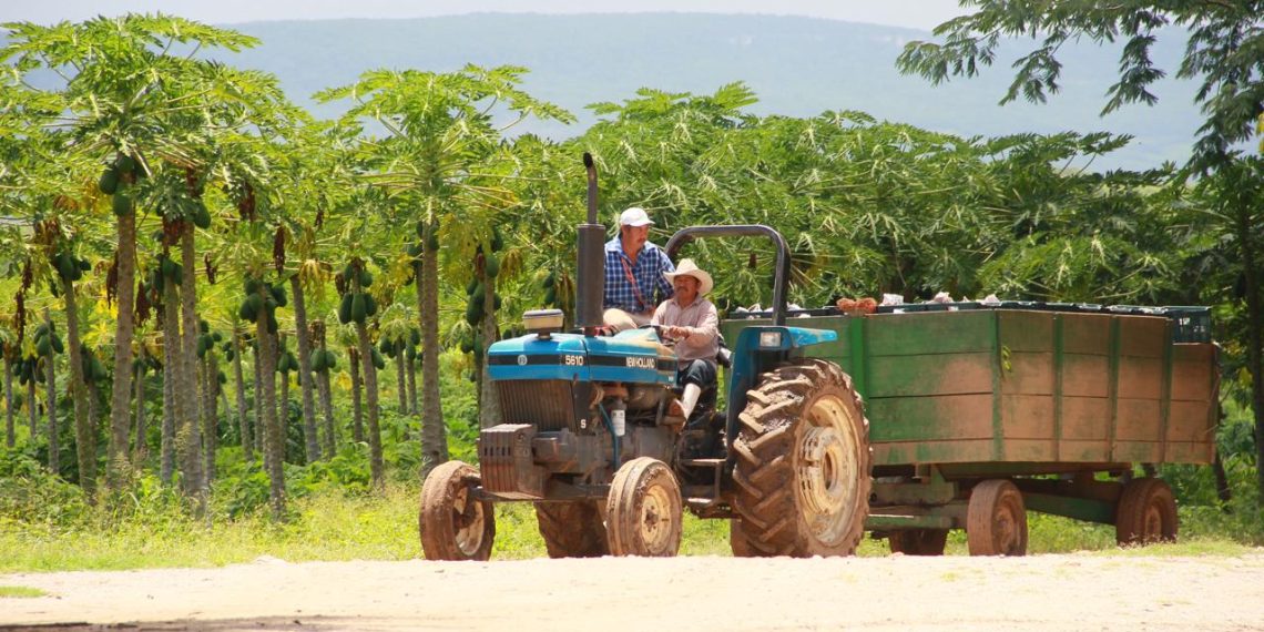 Sector agrícola solicita bajar 50% el precio del combustible