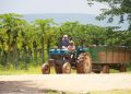 Sector agrícola solicita bajar 50% el precio del combustible