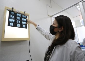 Faltan médicos en 43  áreas de alta demanda