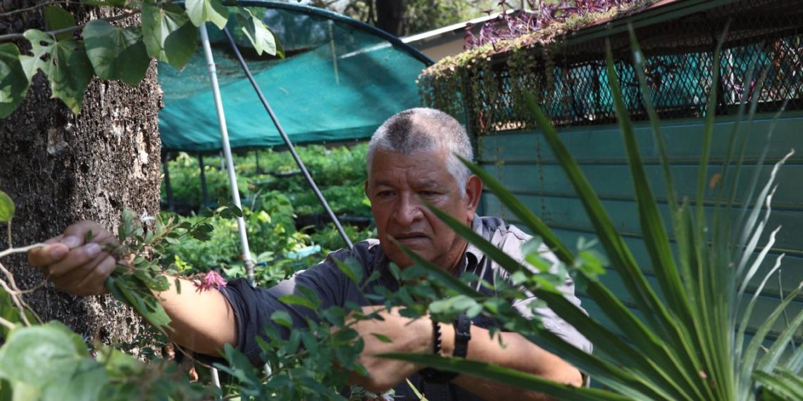 Alertan parálisis científica por el exceso de trámites