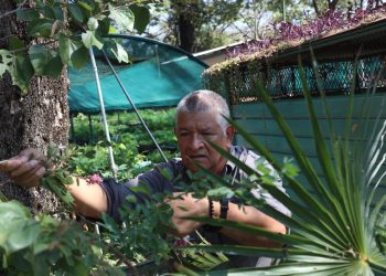 Alertan parálisis científica por el exceso de trámites