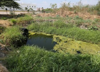 IMSS Altamirano, entre desechos y nula limpieza