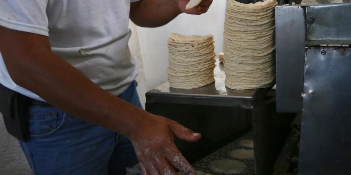Urge coordinarse ante posible alza en tortilla: Pérez Alfaro
