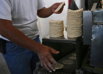 Urge coordinarse ante posible alza en tortilla: Pérez Alfaro
