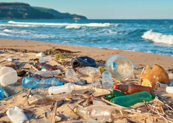 ALGO MÁS QUE PALABRAS