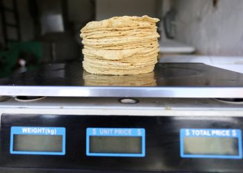 Se mantiene la tortilla entre 22 y 26 pesos en Chiapas