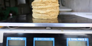 Se mantiene la tortilla entre 22 y 26 pesos en Chiapas