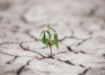 ALGO MÁS QUE PALABRAS