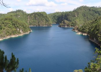 Protección ambiental sufre golpe de austeridad en 2026