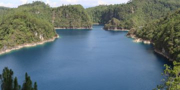 Protección ambiental sufre golpe de austeridad en 2026