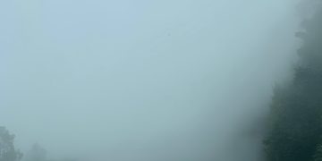 Frentes fríos y lluvias atípicas marcan el inicio de año 2026