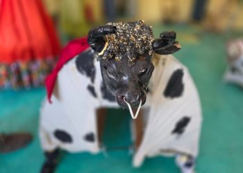 La Vaquita de Chiapa de Corzo: Danza, memoria y sátira popular