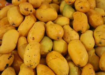 Del mango chiapaneco al plástico biodegradable