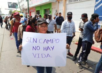 Soya en Soconusco recibe impulso con programa local