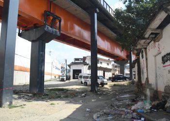 Biodiversidad en riesgo por obras ferroviarias estatales