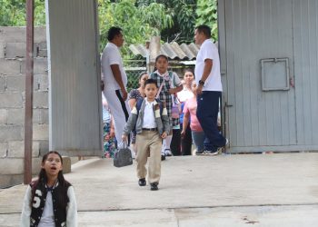 Docentes de la Sección 40 vuelven a las aulas