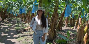 Ingeniera chiapaneca transforma desechos de plátano en bioetanol