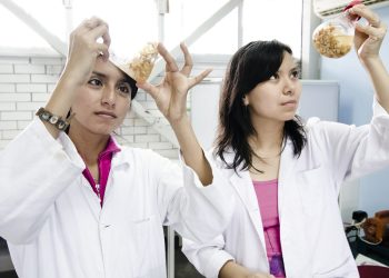 Día Internacional de la Mujer y la Niña en la Ciencia: Igualdad, Equidad y Futuro
