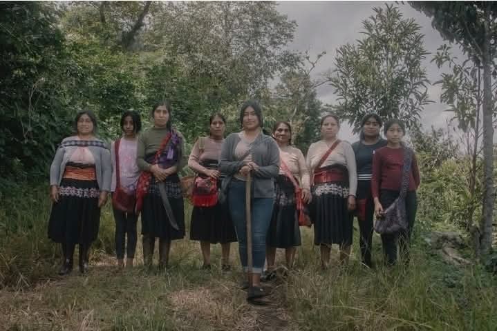 Suprema Corte de Justicia de la Nación llevará su Pleno a Chiapas