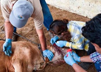 Avanza programa de blindaje al campo chiapaneco en 2026
