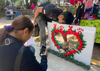 Feria de adopciones: Jornada por respeto y bienestar animal