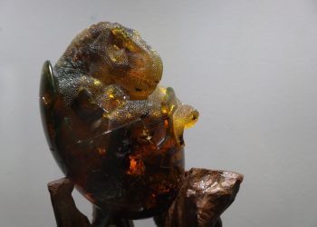 El arte conquista nuevos espacios en la entidad