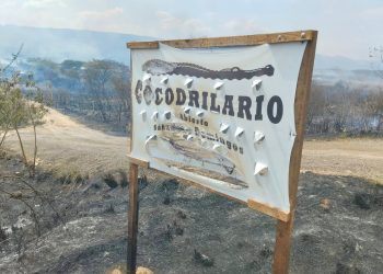 Cocodrilario pide apoyo tras incendio en sus instalaciones