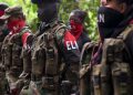 ELN anuncia cese al fuego por elecciones en Colombia